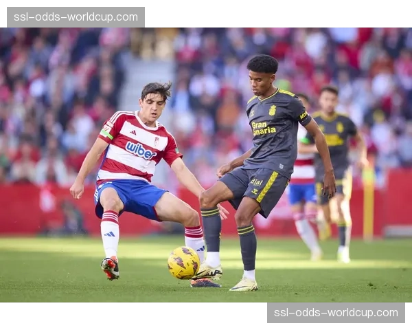 保级关键战:阿尔梅里亚与格拉纳达的六分对决 保级关键战:阿尔梅里亚与格拉纳达的六分对决